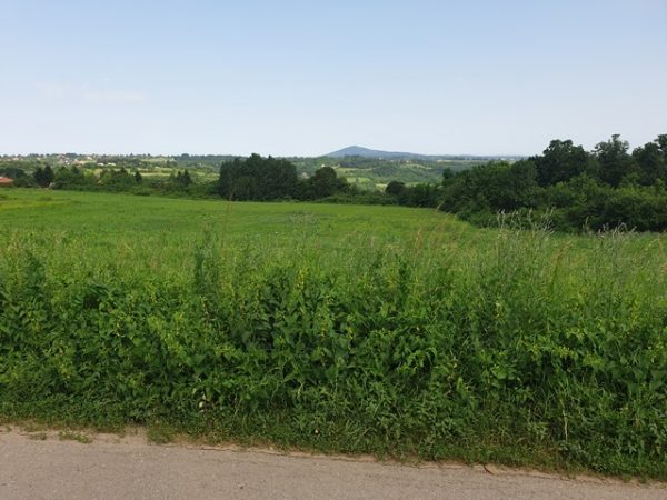 avala kuce i placevi na avali,trsnji,vrcinu,plac na avali na tresnji1